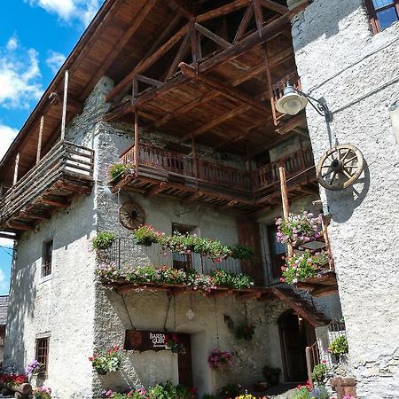 Agriturismo Barba Gust Чезана Торинезе Екстериор снимка