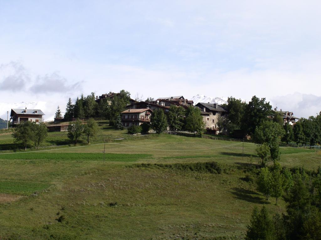 Agriturismo Barba Gust Чезана Торинезе Екстериор снимка
