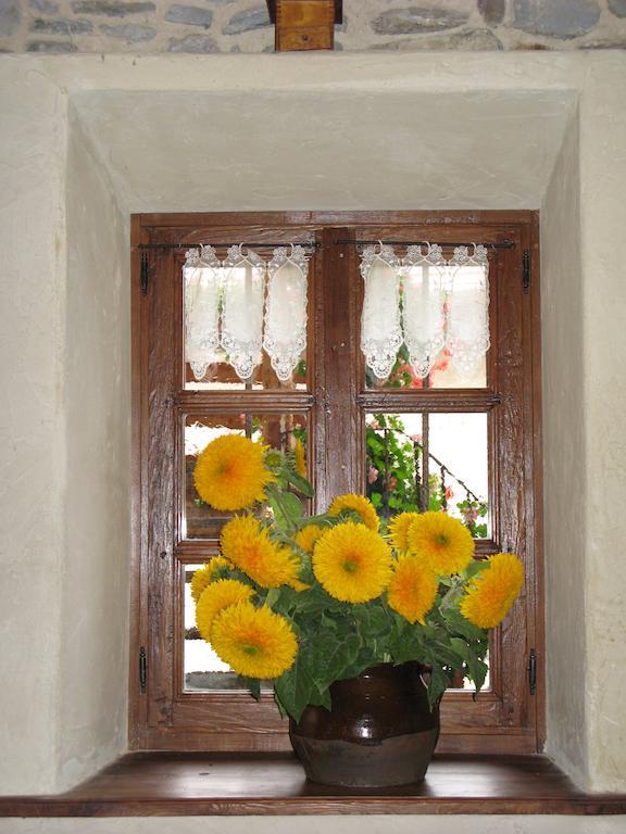 Agriturismo Barba Gust Чезана Торинезе Екстериор снимка