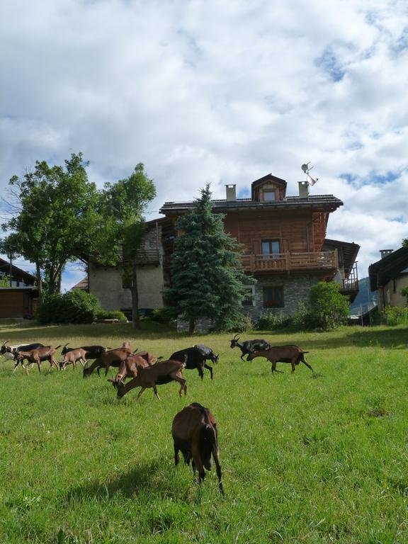 Agriturismo Barba Gust Чезана Торинезе Екстериор снимка