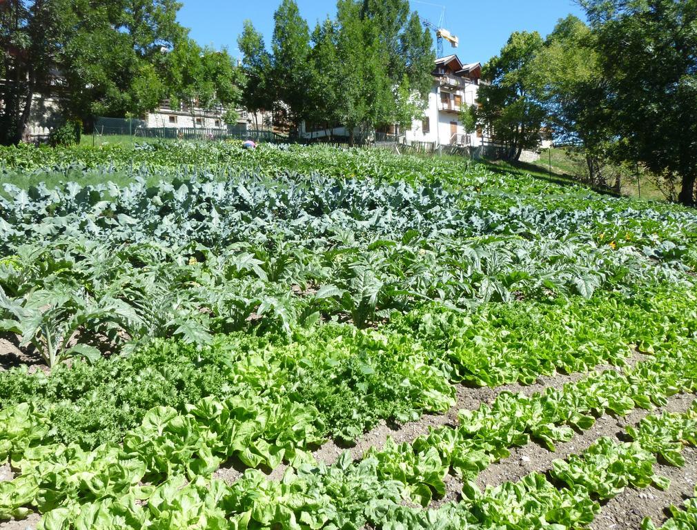 Agriturismo Barba Gust Чезана Торинезе Екстериор снимка