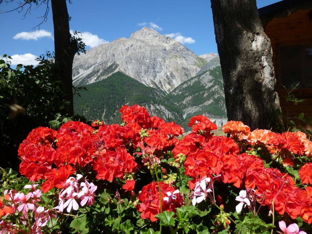 Agriturismo Barba Gust Чезана Торинезе Екстериор снимка