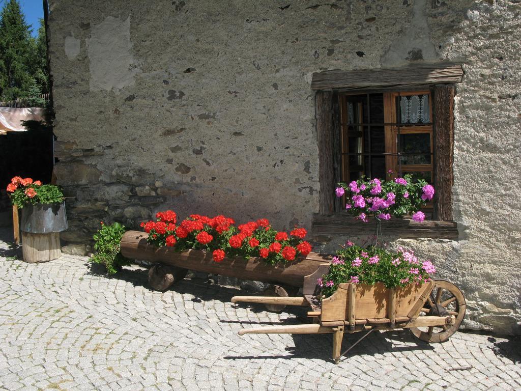 Agriturismo Barba Gust Чезана Торинезе Екстериор снимка