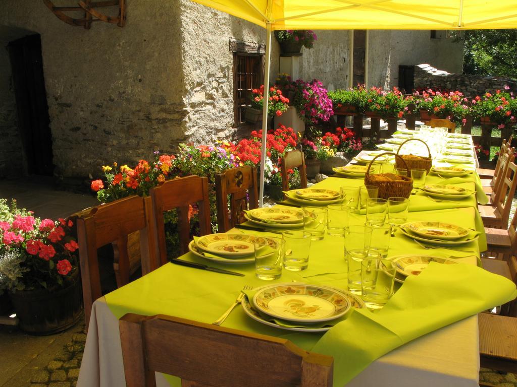 Agriturismo Barba Gust Чезана Торинезе Екстериор снимка