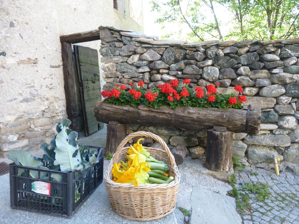 Agriturismo Barba Gust Чезана Торинезе Екстериор снимка
