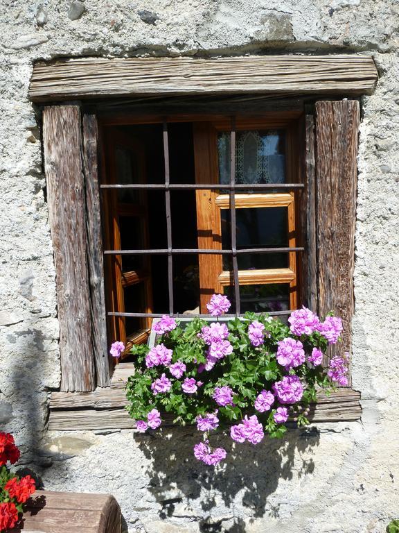 Agriturismo Barba Gust Чезана Торинезе Екстериор снимка